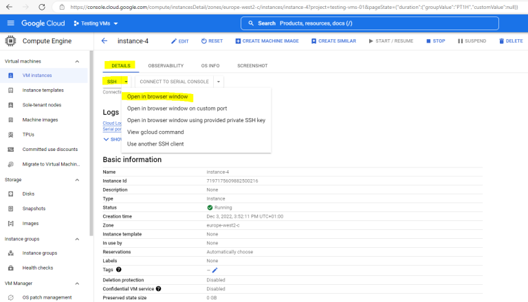 Google Cloud – Create a new Linux VM Instance and Connect to using SSH ...